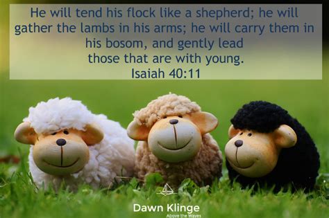 5 Qualities that Make Jesus the Good Shepherd — Dawn Klinge