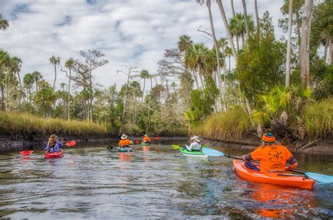 Paddling Otter Creek | Florida Paddle Notes