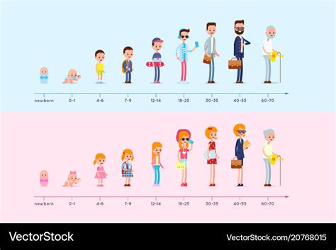 Stages of growing up life cycle graph Royalty Free Vector