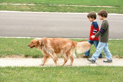 Kids and Pet Care: How to teach your entire family about responsibility, love and loyalty - Blog ...