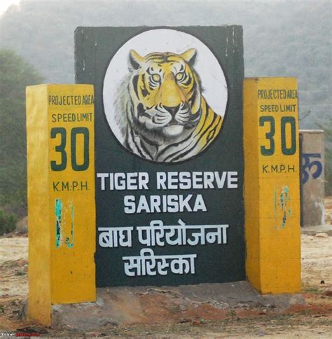 Sariska Tiger Reserve - Tripoto