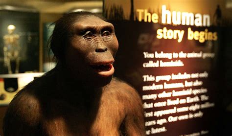 8 Interesting Facts About Lucy the Ancient Ape