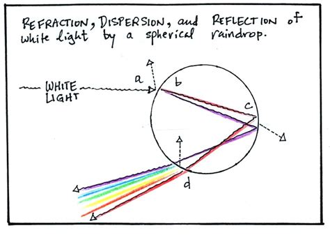 Notes on the formation of rainbows