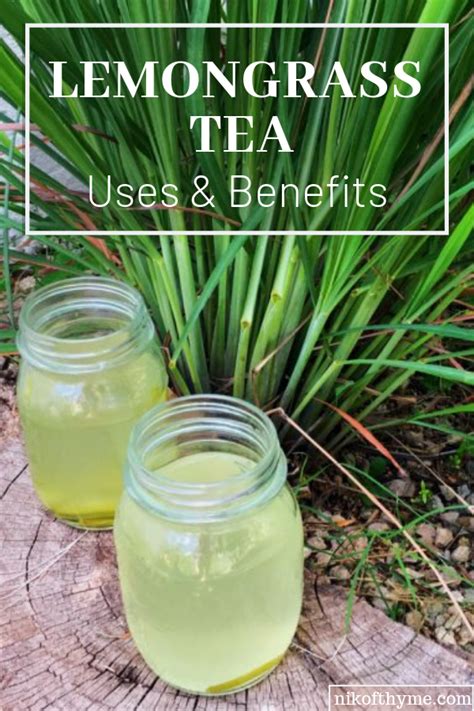 Lemongrass Tea Uses & Benefits | Lemongrass tea, Lemon grass tea ...