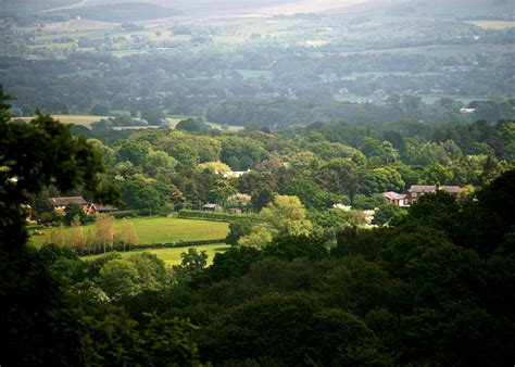 Alderley Edge, Cheshire [29/05/2016] - robertpoulson.com