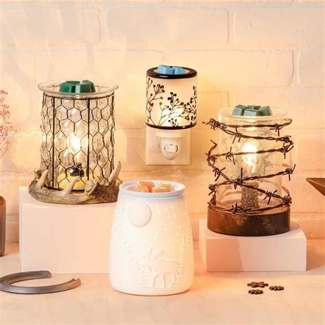 Natural Scentsy Warmers in 2020 | Scentsy, Scented wax warmer, Scentsy warmer