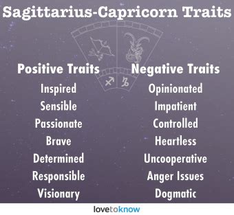 Sagittarius-Capricorn Cusp: A Perceptive & Practical Mix | LoveToKnow