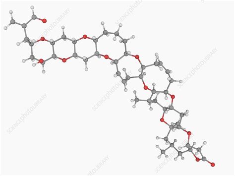 Brevetoxin neurotoxin molecule - Stock Image - F004/6201 - Science ...