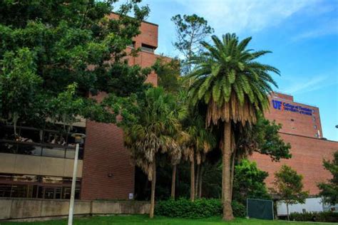 College of Dentistry » University of Florida