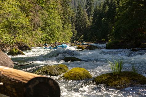 North Umpqua River Rafting Trips With Ouzel Outfitters