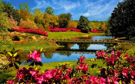 Flower Landscape Wallpaper - WallpaperSafari