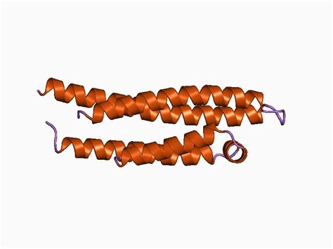 Apolipoproteins E; Apo-E