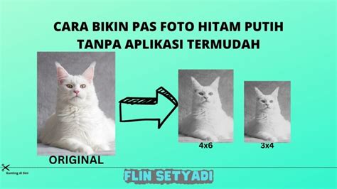 Cara Membuat Pas Foto Hitam Putih dengan Microsoft Word Arsip - Flin Setyadi