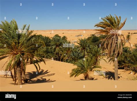 Oasis sahara desert hi-res stock photography and images - Alamy