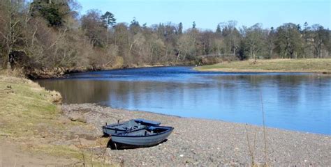 Fishing Availability on the tweed