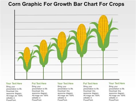 Corn Graphic For Growth Bar Chart For Crops Flat Powerpoint Design