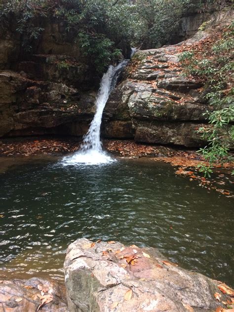 Hiked to the Blue Hole in Stoney Creek, TN with my girlfriend and her dog! : r/hiking