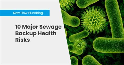 10 Major Sewage Backup Health Risks - New Flow Plumbing