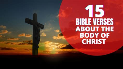 15 Important Bible verses about body of Christ