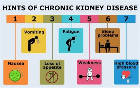 Chronic Kidney Disease Symptoms and Treatment