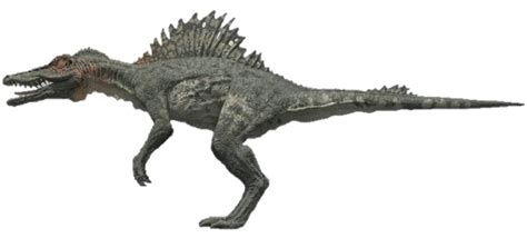 Image - Spinosaurus Primeval.jpg | Dinosaur Wiki | FANDOM powered by Wikia