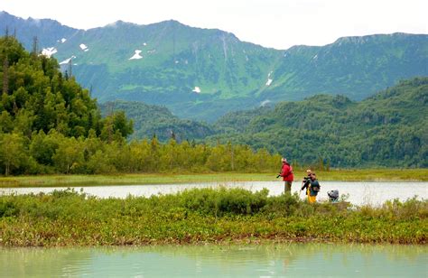 Bear Viewing Day Trip; Alaska Day Tour; Redoubt Bay Bear Watching