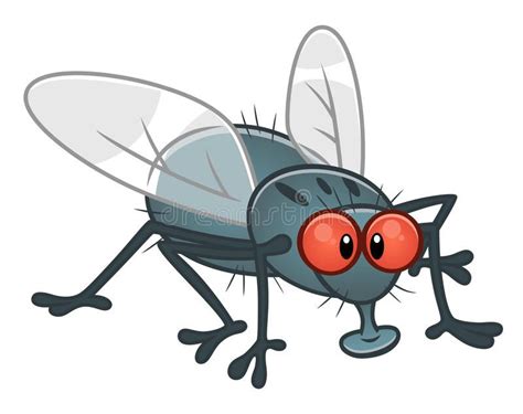 Cartoon fly. Cartoon funny fly on the white background. Cartoon pest ...