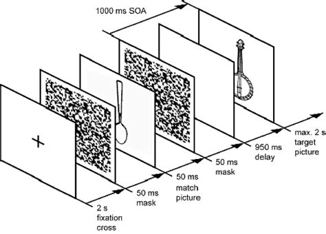 Stimulus trial; order and duration of the fixation cross, mask(s ...