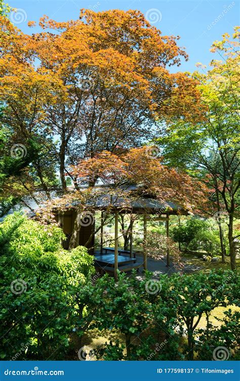 Japanese Garden at Washington Park Arboretum, Seattle Stock Image ...