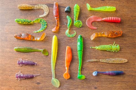 Most Common Types of Fishing Lures – All You Need to Know