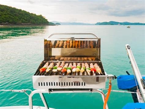 5 Best Boat Grills for Pontoon & Sailboats Reviewed [2023]