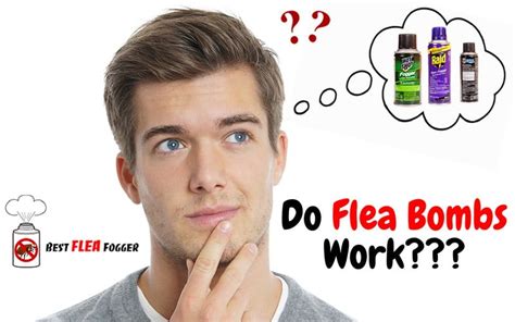 Why Flea Bombs Are An Ineffective Solution - Contact Pest Control