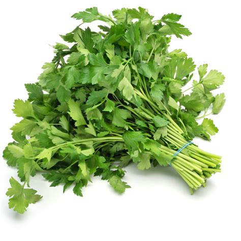 Parsley is a classic among herbs - Nature's Pride