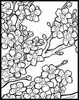 Cherry Tree Coloring Page At GetColoringscom  Free Printable sketch template