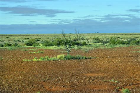 Australia, South Australia, Outback Landscape Stock Image - Image of ...