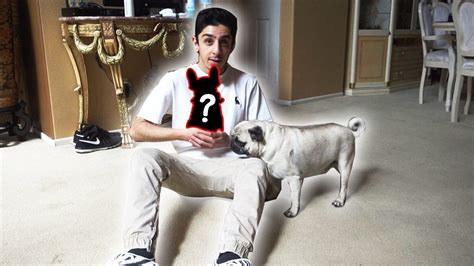 How Old Is Faze Rugs Dog Bosley