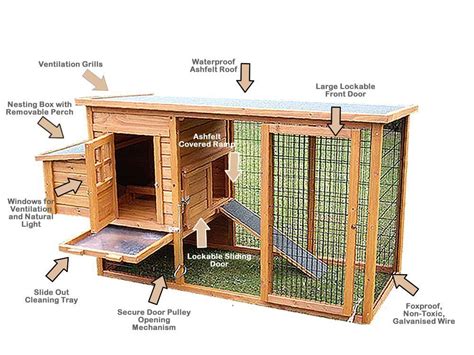 Learn How to build chicken coops or a hen house with easy DIY chicken coop building plans ...