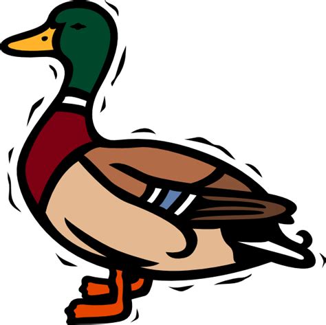 Free Duck-Call Cliparts, Download Free Duck-Call Cliparts png images, Free ClipArts on Clipart ...