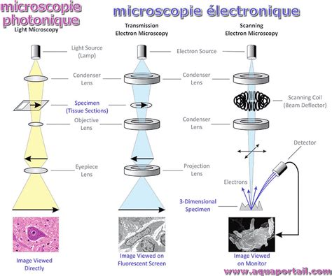 Microscopie photonique : définition et explications