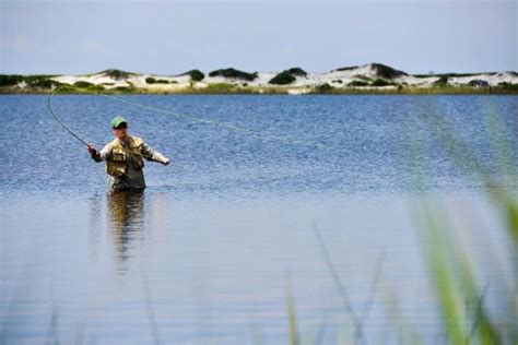 Let's Go Fishing in South Walton | SoWal.com