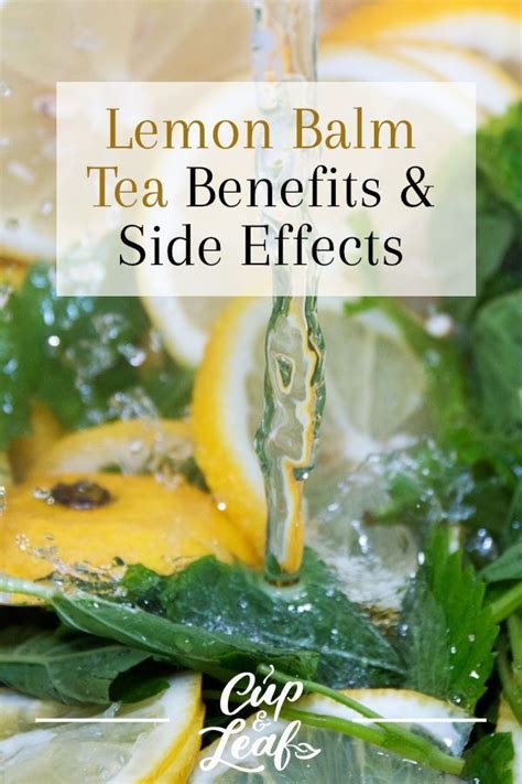 Lemon Balm Tea Benefits & Side Effects | Lemon balm tea benefits, Herbal teas recipes, Lemon ...