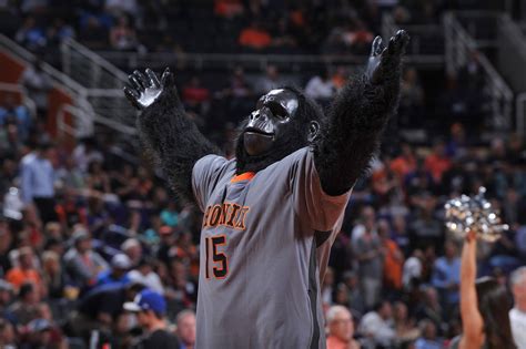 Phoenix Suns Gorilla