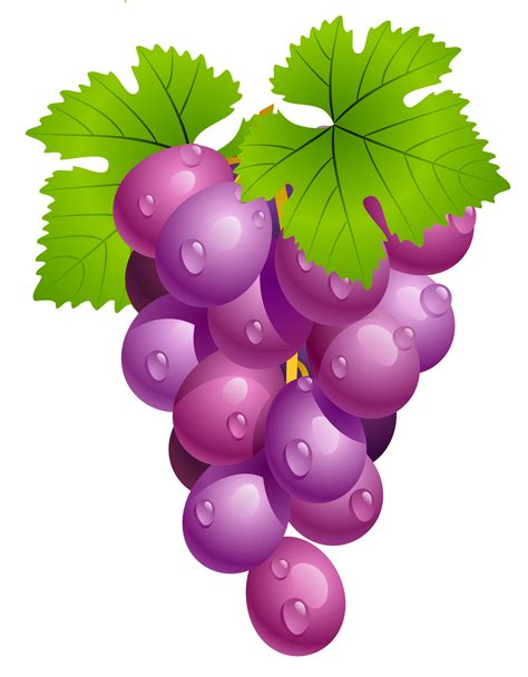 Grapes with Leaves PNG Clipart Picture | Clip art, Fruit picture, Grapes