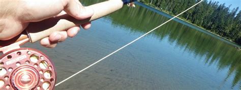 The Best Trout Fly Rods | Reviews and Buying Advice | Gear Institute