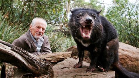 Forget Fido, this guy’s a real pet | news.com.au — Australia’s leading news site