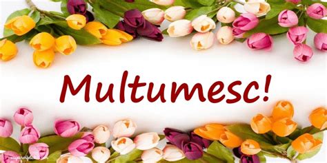 Multumesc! - GIF animat de multumire - mesajeurarifelicitari.com | Unity braid, Anchor theme ...