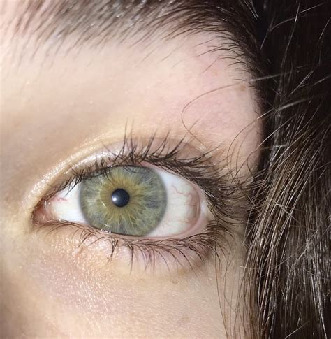 Olive green and grey : eyes