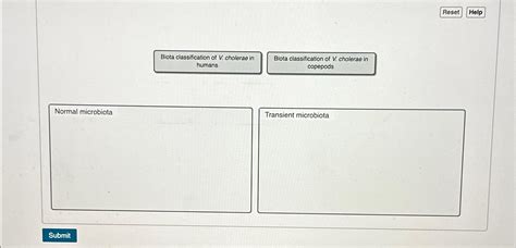 Solved ResetHelpBiota classification of V. ﻿cholerae inBiota | Chegg.com