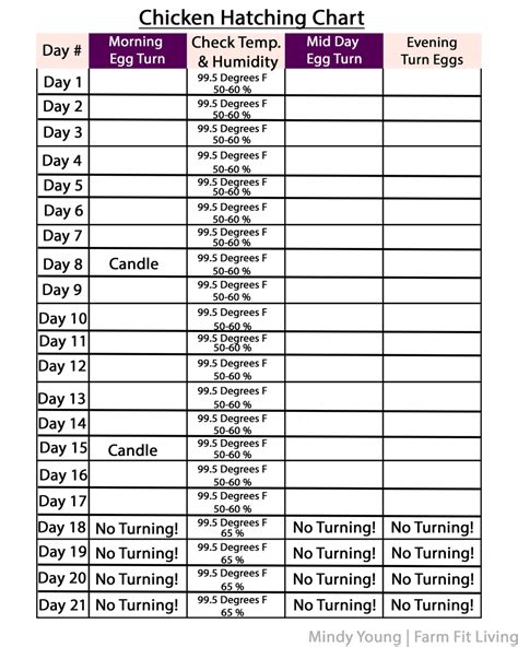 Chicken Egg Incubation Chart & Calendar Set – Farm Fit Living