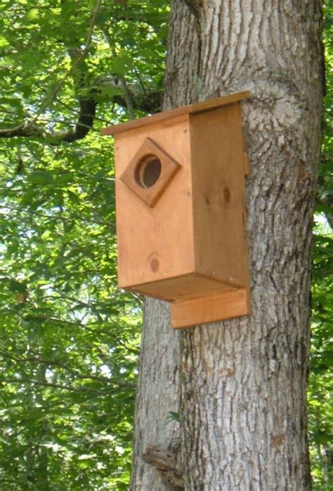 How to Build a Barn Owl Nesting Box: Barn Owl Nest Box Plans - HubPages